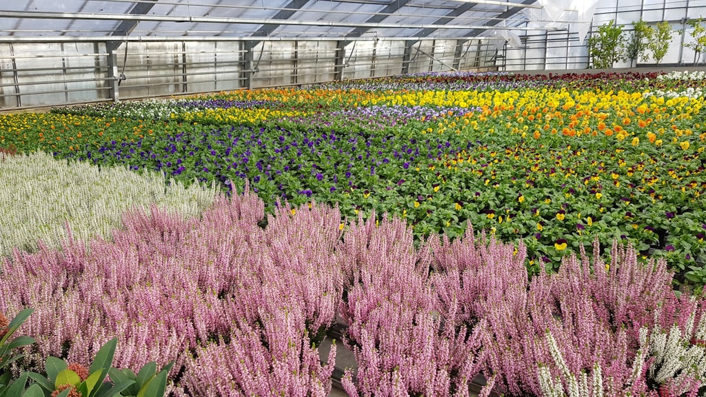 11arrangements floraux et bouquets automne min