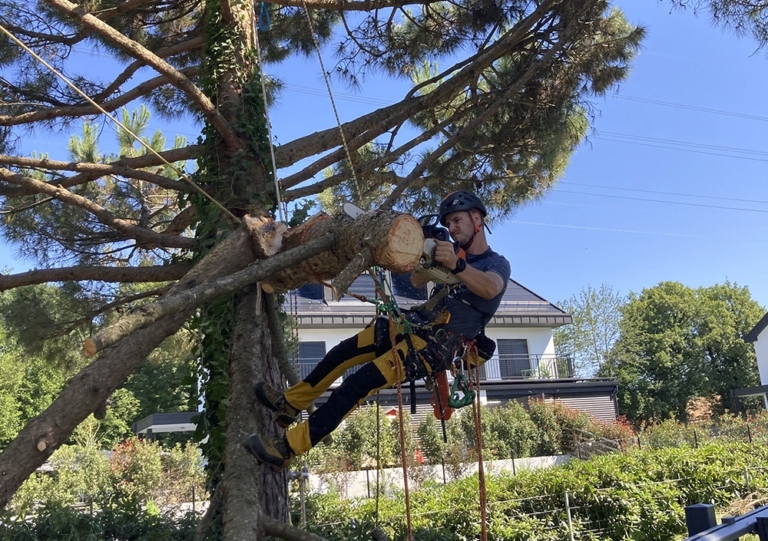 Yannick Paysages accueil soins des arbres 01 768x541